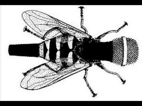 La microfaune - Microfanatisme feat Smoky