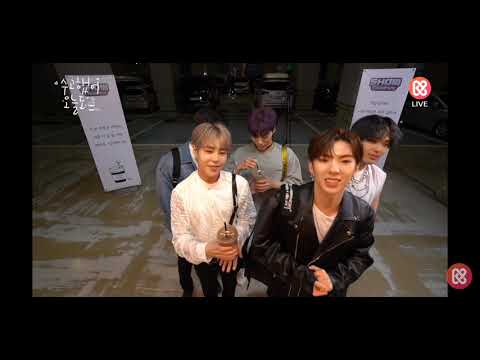 IMFACT Show Champion cafe  4.29