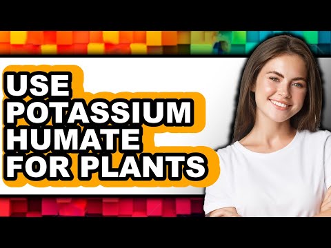 How to Use Potassium Humate for Plants (UPDATED)