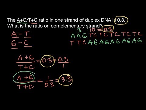 Examples of application of Chargaff’s rule