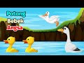 Potong Bebek Angsa 🪿 Bebek Berenang Lucu Lagu Anak Indonesia Populer