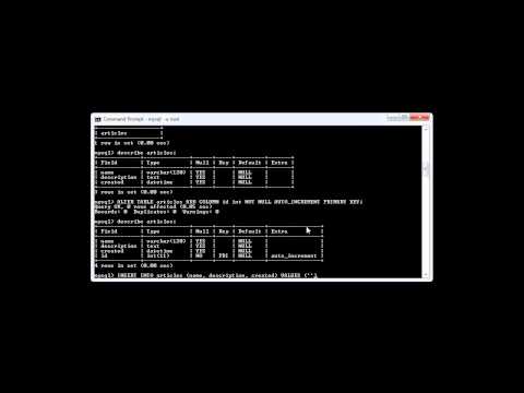 MySQL Inserting a Record