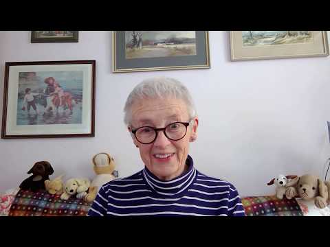 Dogidog Theo Stewart. Dog Behaviourist video.