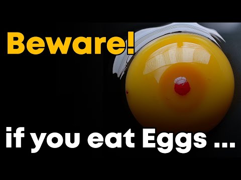 download lagu mp3 mp4 Blood In Egg Safe To Eat, download lagu Blood In Egg Safe To Eat gratis, unduh video klip Blood In Egg Safe To Eat