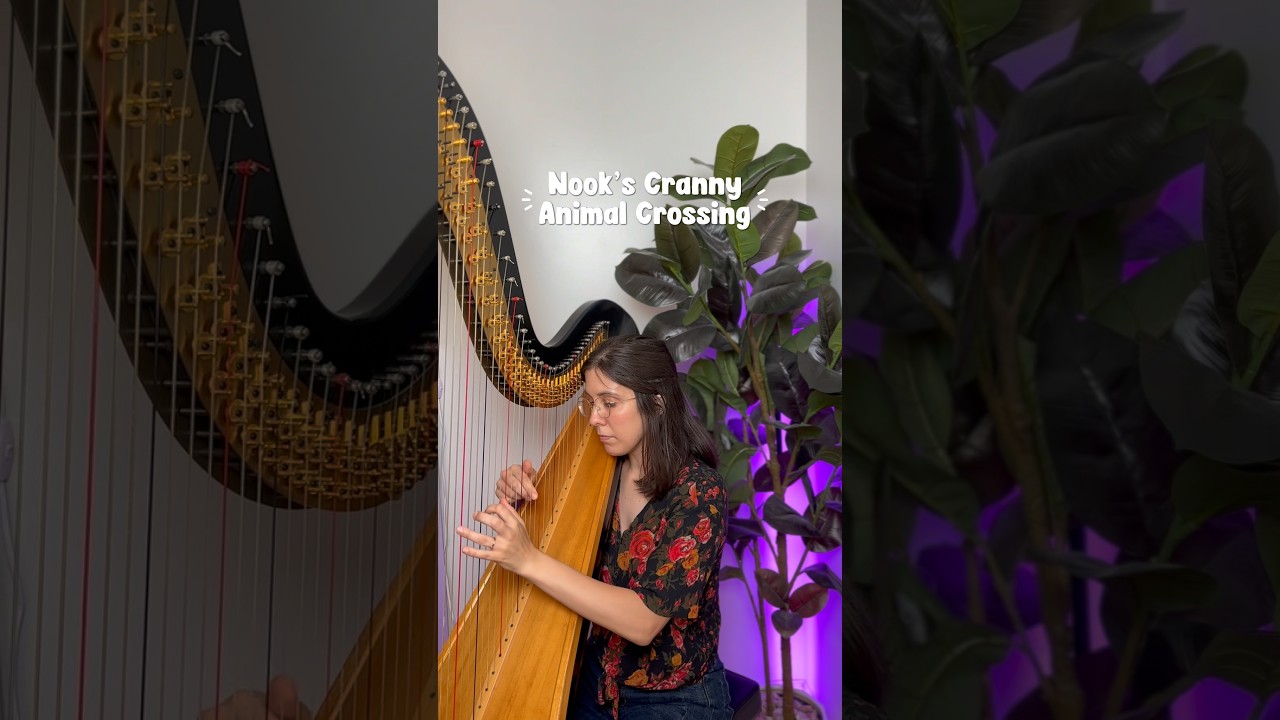 Promotional video thumbnail 3 for Julia Van Patter