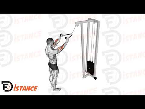 Exercice Tirage frontal pour avant bras à la corde