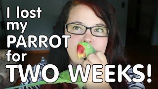 HOW I LOST & FOUND MY PARROT! Storytime Video Dedicated to Marlene Mc'Cohen