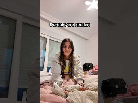 Kediler nasıl bir canlı???