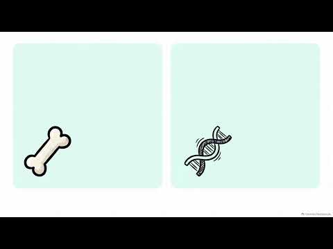Hz ADEM İLK İNSAN MI? İNSANLIĞIN ÇOĞALMASI NASIL OLDU?