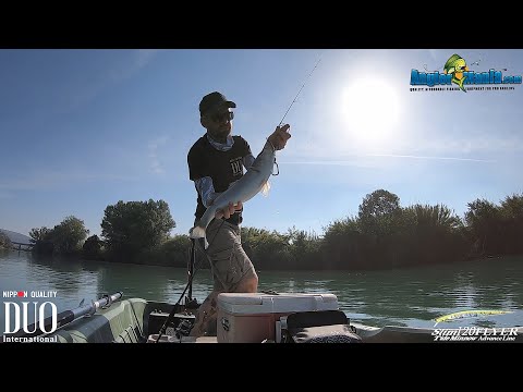 Duo Tide Minnow Slim 120 Flyer