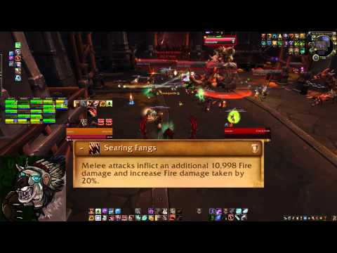 The Inconspicuous Bear - Heroic Beastlord Darmac Guardian Guide