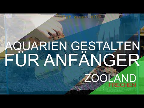 AQUARIEN GESTALTEN FÜR ANFÄNGER  (HARDSCAPE)