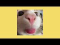 Playlist To Make You Happy All Songs Sped Up