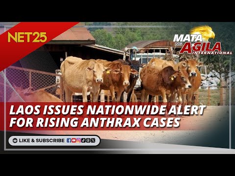 Laos issues nationwide alert for rising anthrax cases Mata Ng Agila International