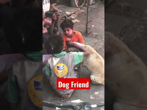 Dog Friend 🐱 Ya Taiba 🌼 #pets #pet #petlover #dog #dogs #doglover #trending #eid #eidmubarak #reels