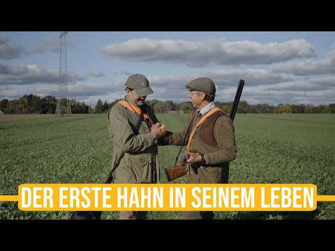 Niederwildtestrevier | Der erste Hahn in seinem Leben! Paul jagt auf Rebhühner 😍 Waidmannsheil !