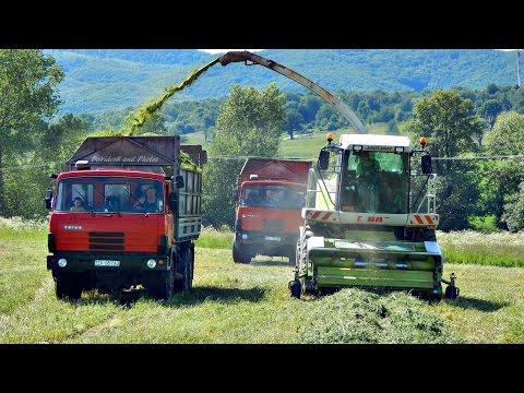 PD Dobrá Niva - Senáže 2015 - 3x JCB Fastrac, 2x Claas Jaguar, 4x Tatra 815