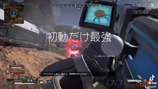 初動だけ最強かもしれない