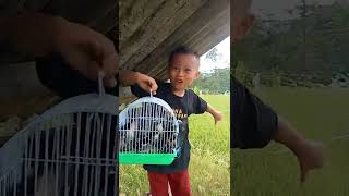 Download lagu jaring burung emprit dapat banyak mp3 Download lagu jaring burung emprit dapat banyak mp3