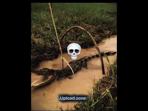 Animal Danger Traps😱 #like #animals #subscribe