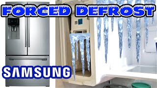 How to Defrost the Ice Maker Chamber on Samsung Refrigerators with Forced Defrost Mode