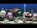 Psychic TV - Baby's Gone Away (Backwards...with a fish tank)