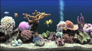 Psychic TV - Baby's Gone Away (Backwards...with a fish tank)