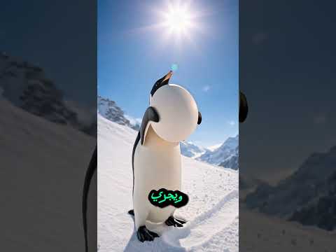 بطريق ينقذ بيضة غامضة من دب😱😱 #بطريق #بيض #بومة #دب #قصص #دويتو #funny #اكسبلور