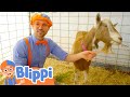 Blippi S Halloween Goat Farm Adventure Best Animal Videos For Kids Kids Songs And Nursery Rhymes