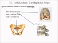 Articulation and Classifications of Articulations