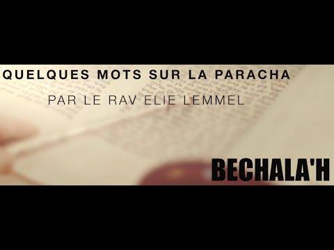 Les mains en l'air ! Rav Elie Lemmel