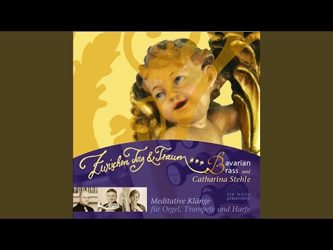 Concierto No. 1 in G Major (Arr. for Harp and Organ)