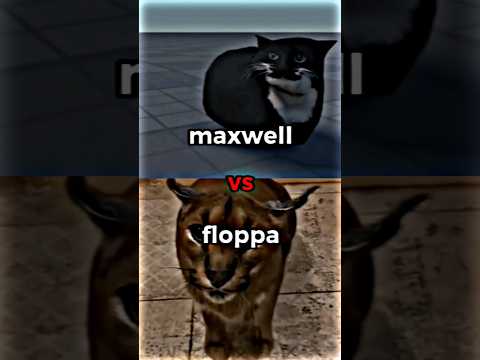 maxwell vs floppa