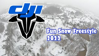 South Carolina snow 2022 FPV drone