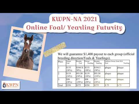 KWPN-NA 2021 Online Foal/ Yearling Stallion Offspring Futurity