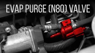 How to Replace EVAP Purge (N80) Valve on a B7 Audi A4 2.0L TFSI 2005-2008