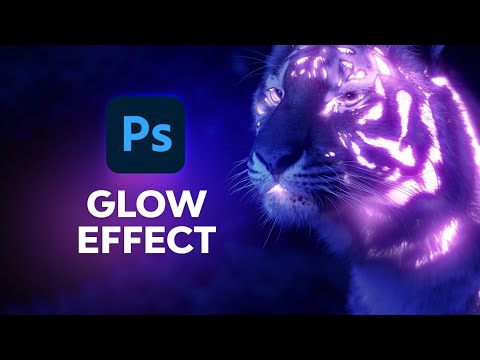 Photoshop for Beginners FREE COURSE