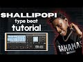 Making Amapiano Beats For Shallipopi In FL Studio Amapiano Stock Plugin Tutorial