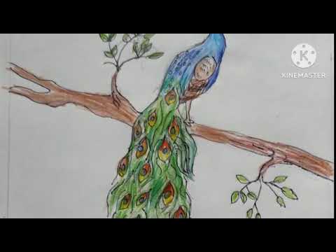 Suhas Art's Flowers, Bird's,and Animals