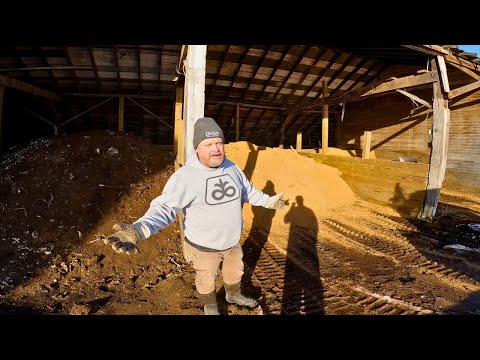 What Happens When Pigs Die?