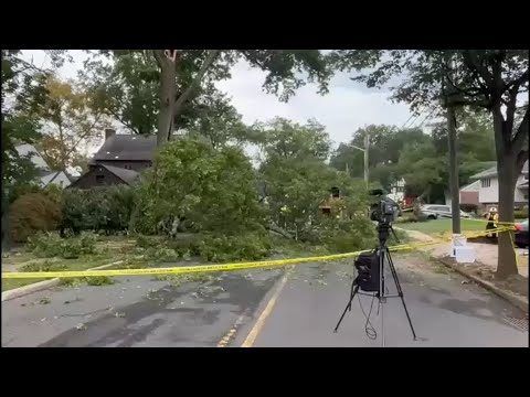 Large branch falls from tree in NJ, 2 seriously injured