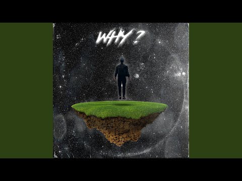 WHY?