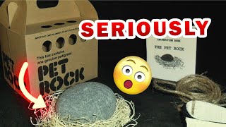 How Gary Dahl became a millionaire by selling Rocks – The Pet Rock millionaire