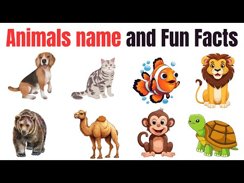 Wild animal names for nursery | The Wildest Animal Facts | Wildlife animals for toddlers