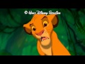 Lion King Hakuna Matata Zulu