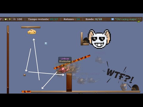 EPIC FIRST #10 | Lintrax | TRANSFORMICE 2022