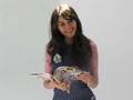 Victoria Justice Popstar Photoshoot