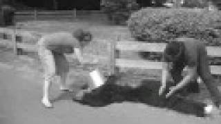 Late Night Fandango Movie - Scene 5/6