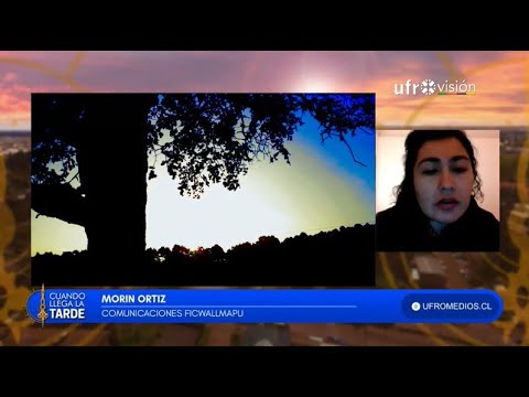 Concierto virtual Wüñol Tripantü: Sábado 3 de julio a las 19:00 horas  | CUANDO LLEGA LA TARDE