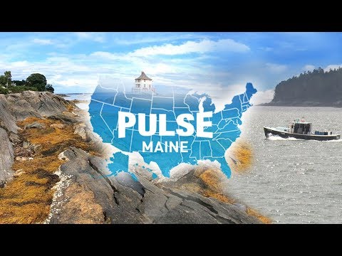 FULL MEASURE: October 28, 2018 - Pulse: Maine